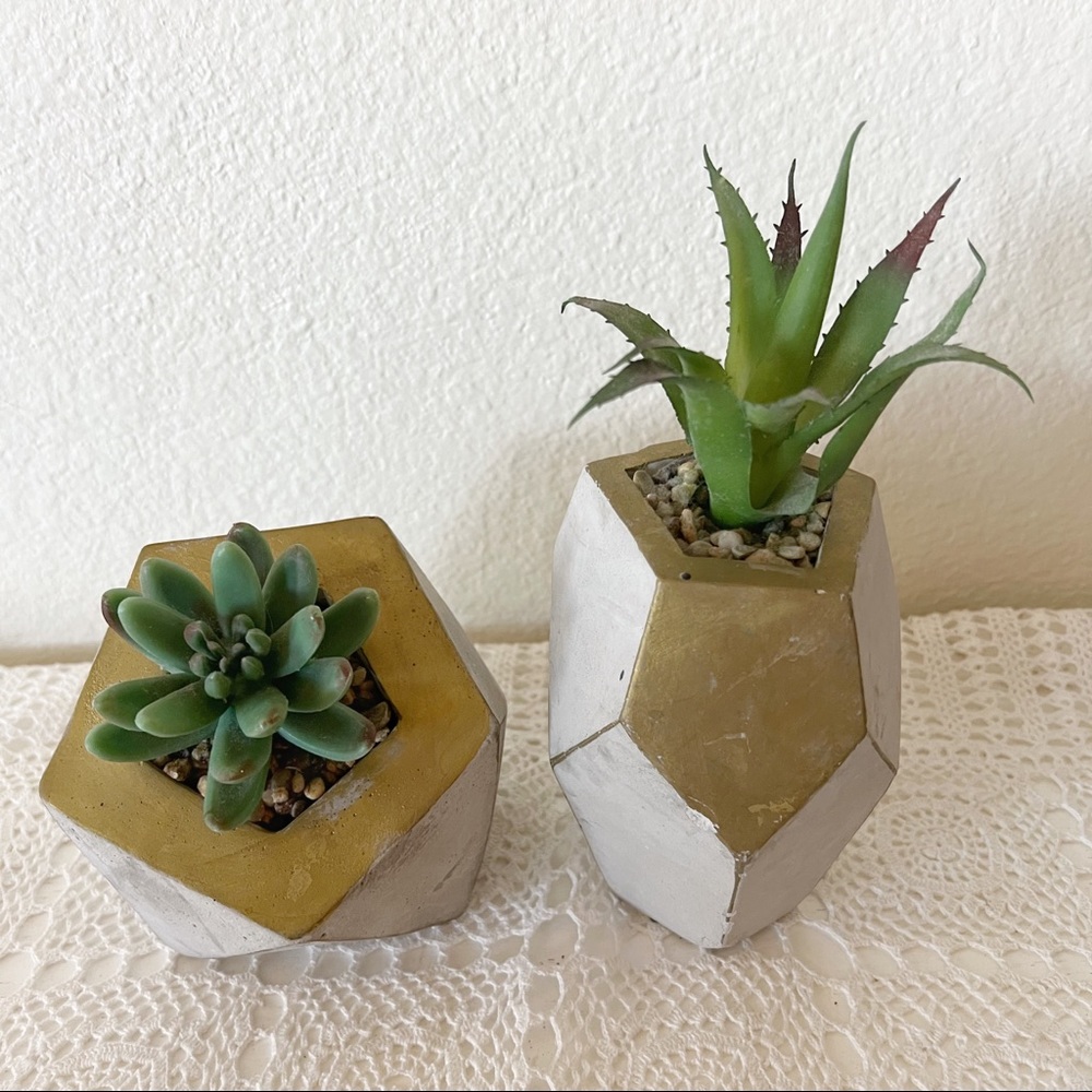 CONCEPTS IN TIME Cement Pot Faux Succulents